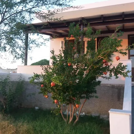 Zozef Sunset Tatil Evi Mégas Yialós-Nítes